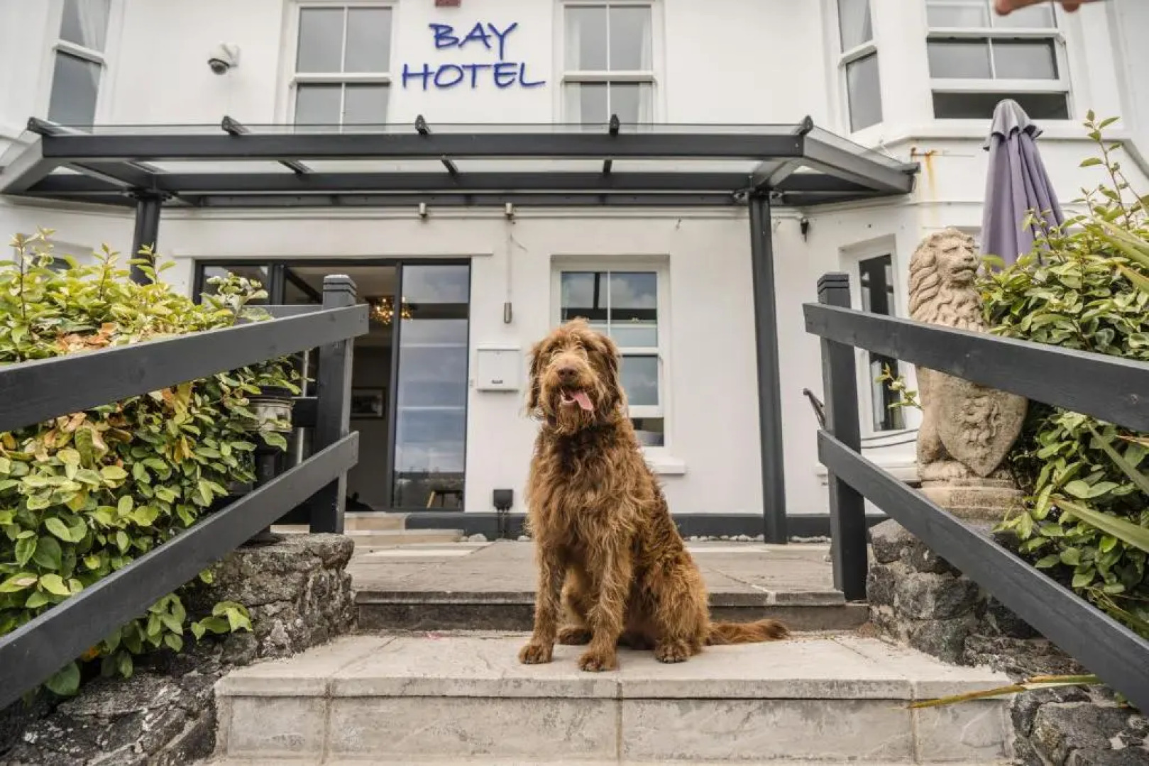 The Bay Hotel