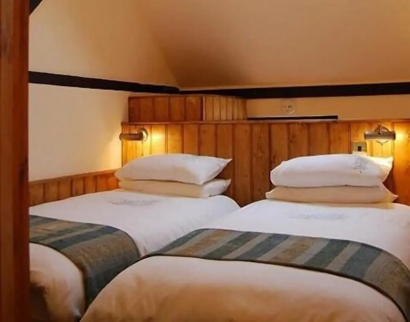 The Plume of Feathers