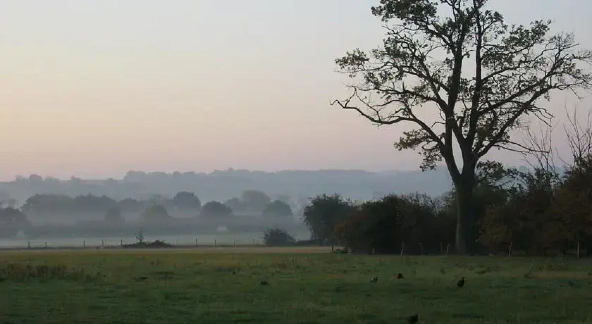 Apple Cottage Bed and Breakfast