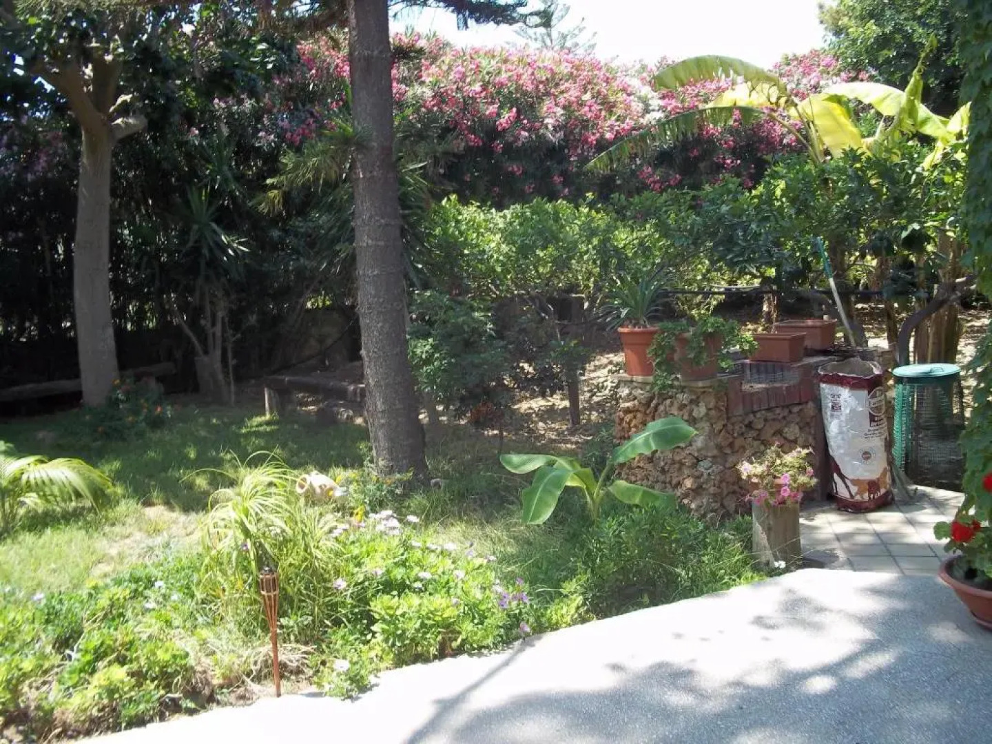 Tra il Verde e il Mare