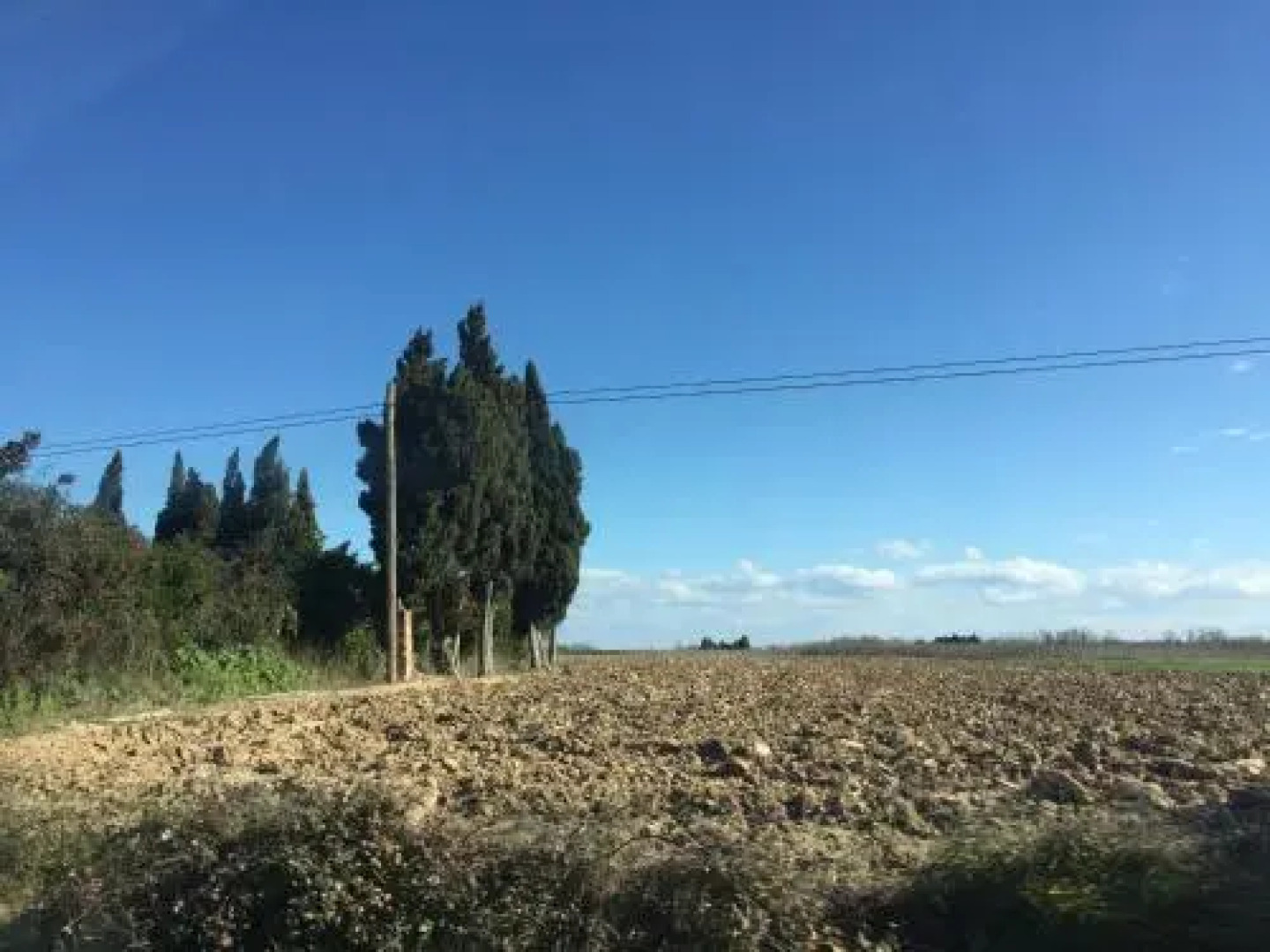 Casa del Pi Interior