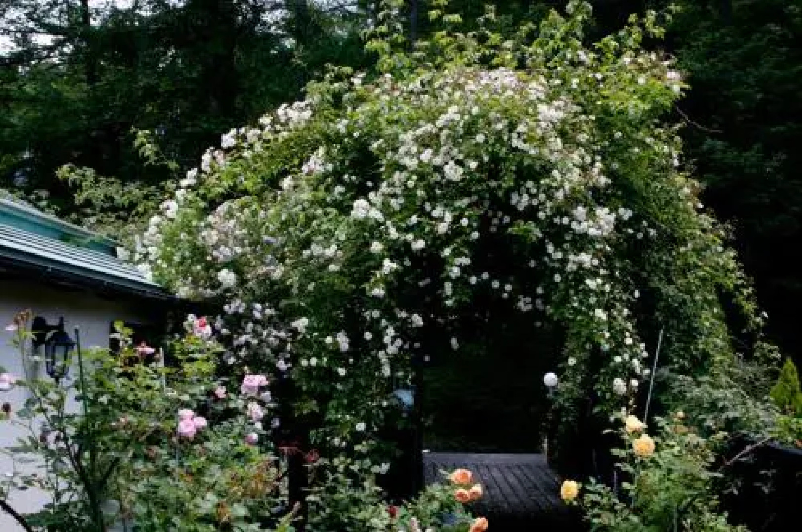 Petit Hotel of Log House Tombouctou