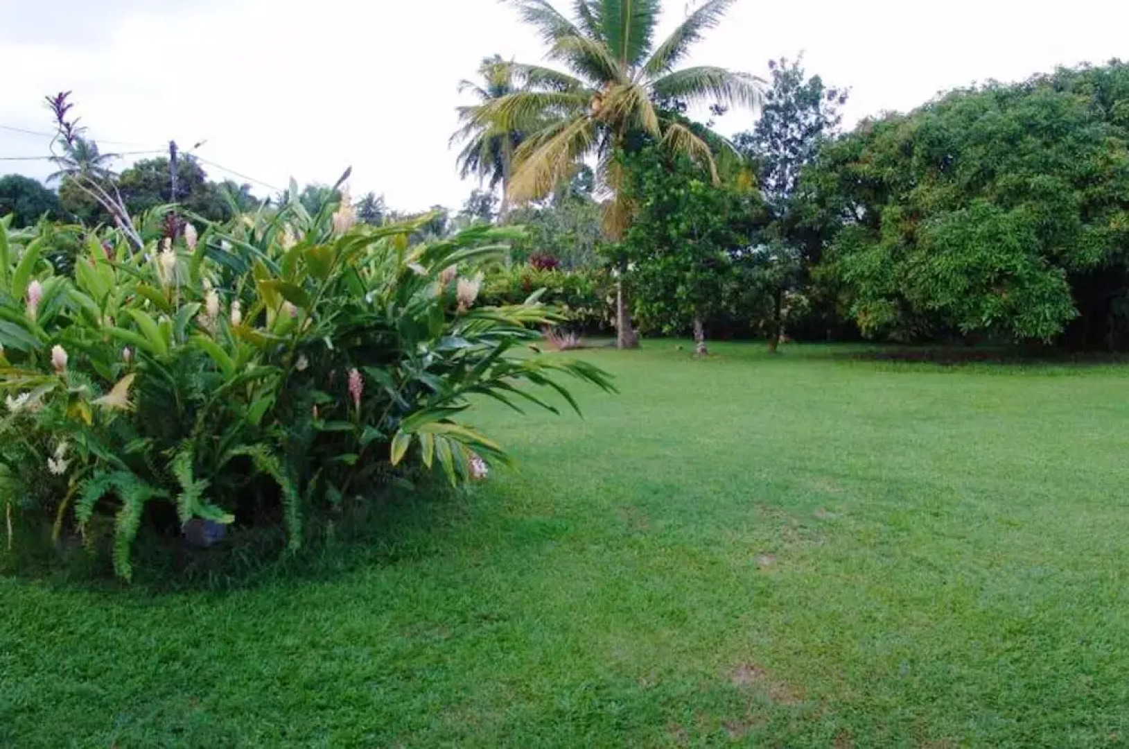 Apartment With one Bedroom in Goyave, With Wonderful Mountain View, Enclosed Garden and Wifi - 2 km From the Beach