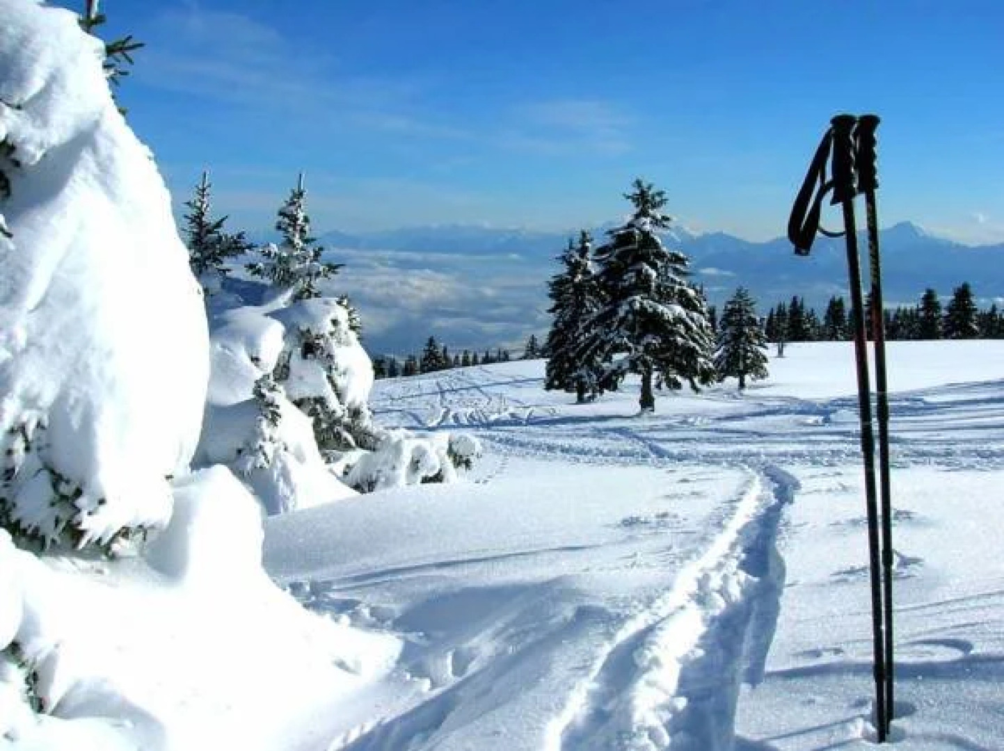 Villa Marienhof Apartments & Komfortzimmer