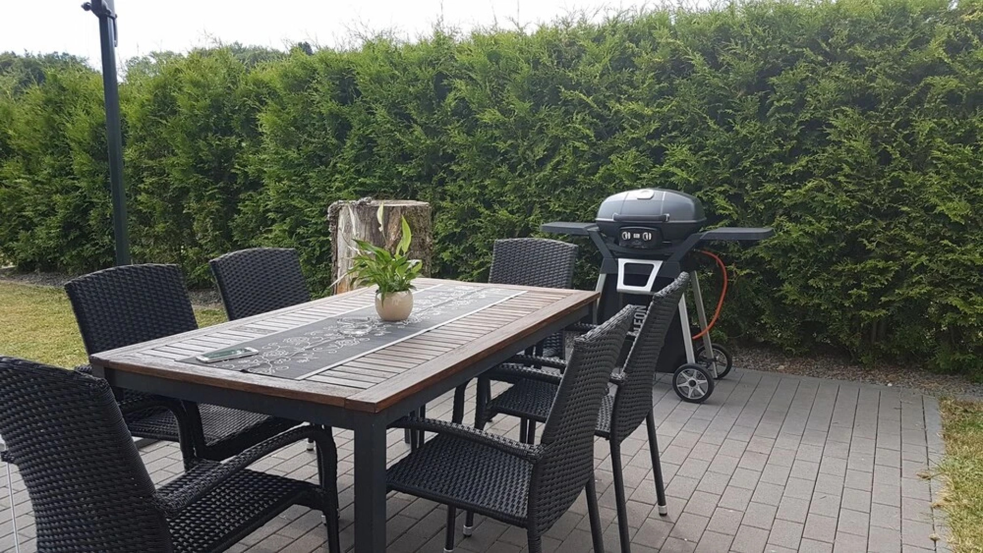 Eifel Dream Zingsheld