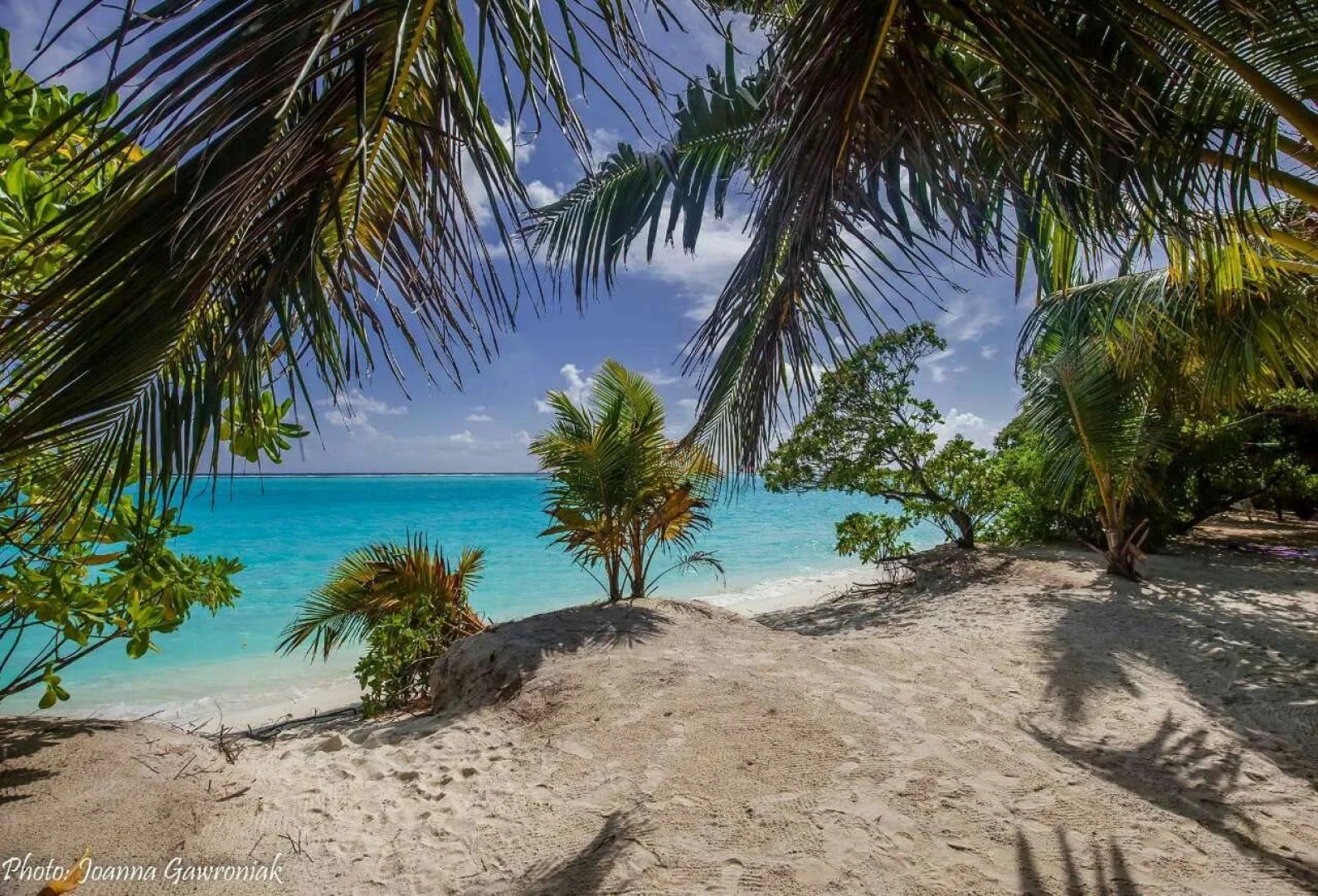Thoddoo beach view Maldives