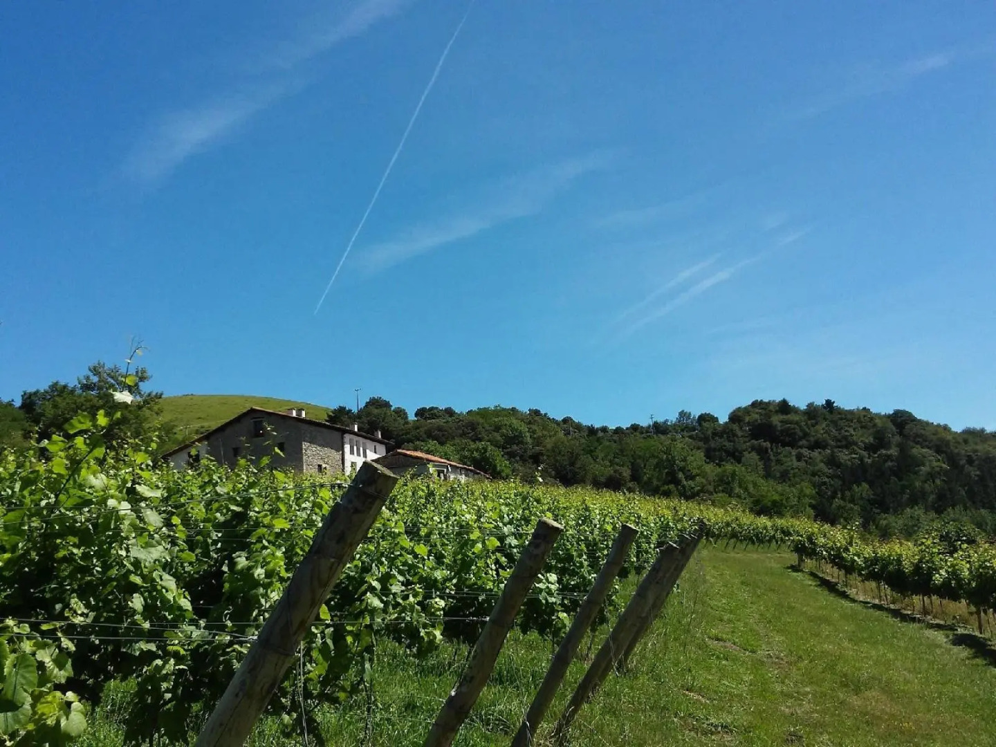 Agroturismo Erlete Goikoa