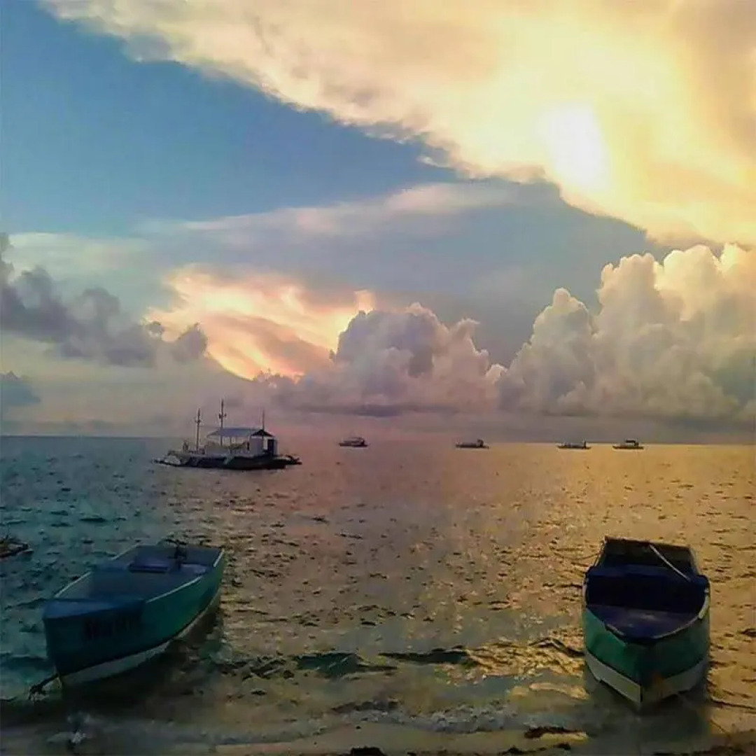 The Sharks Tail Dive Center