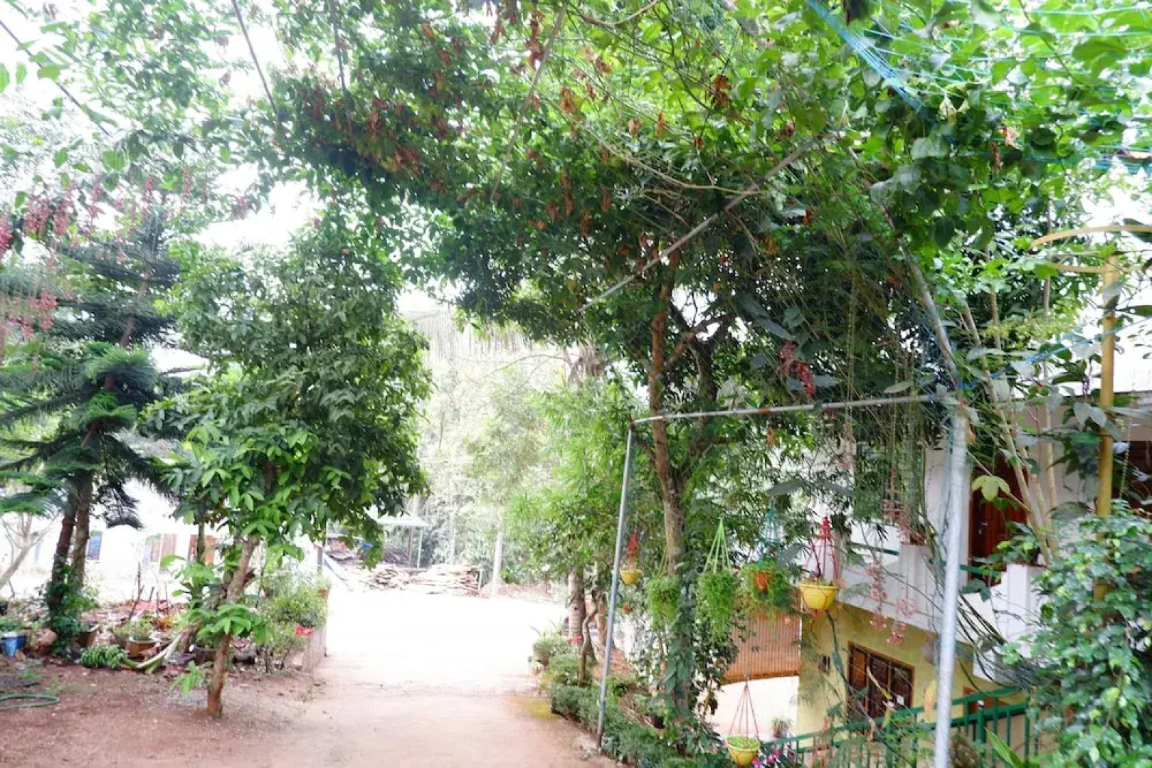 Wind Valley Farmstay