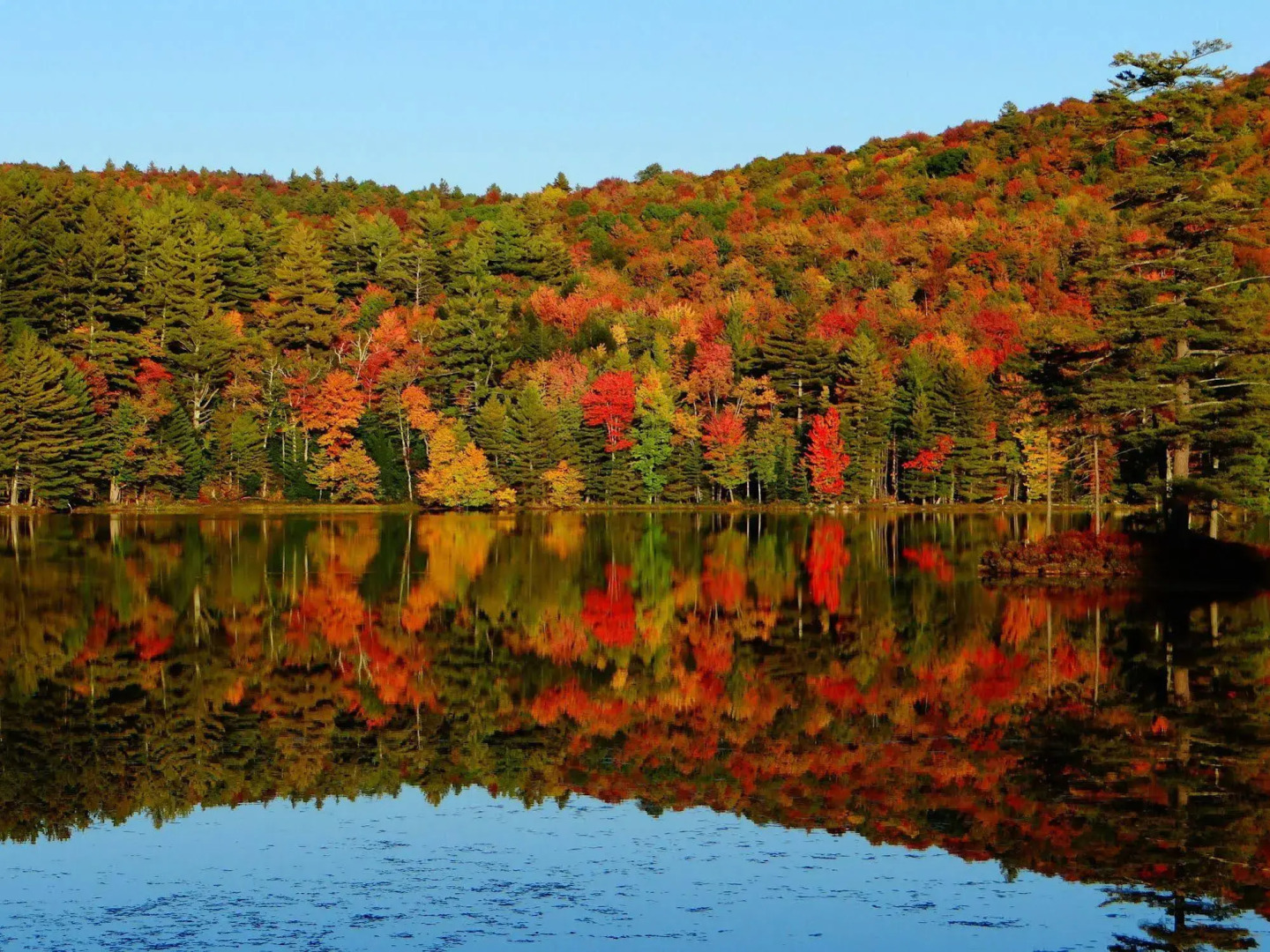 Blue Gentian Lodge at Magic Mountain