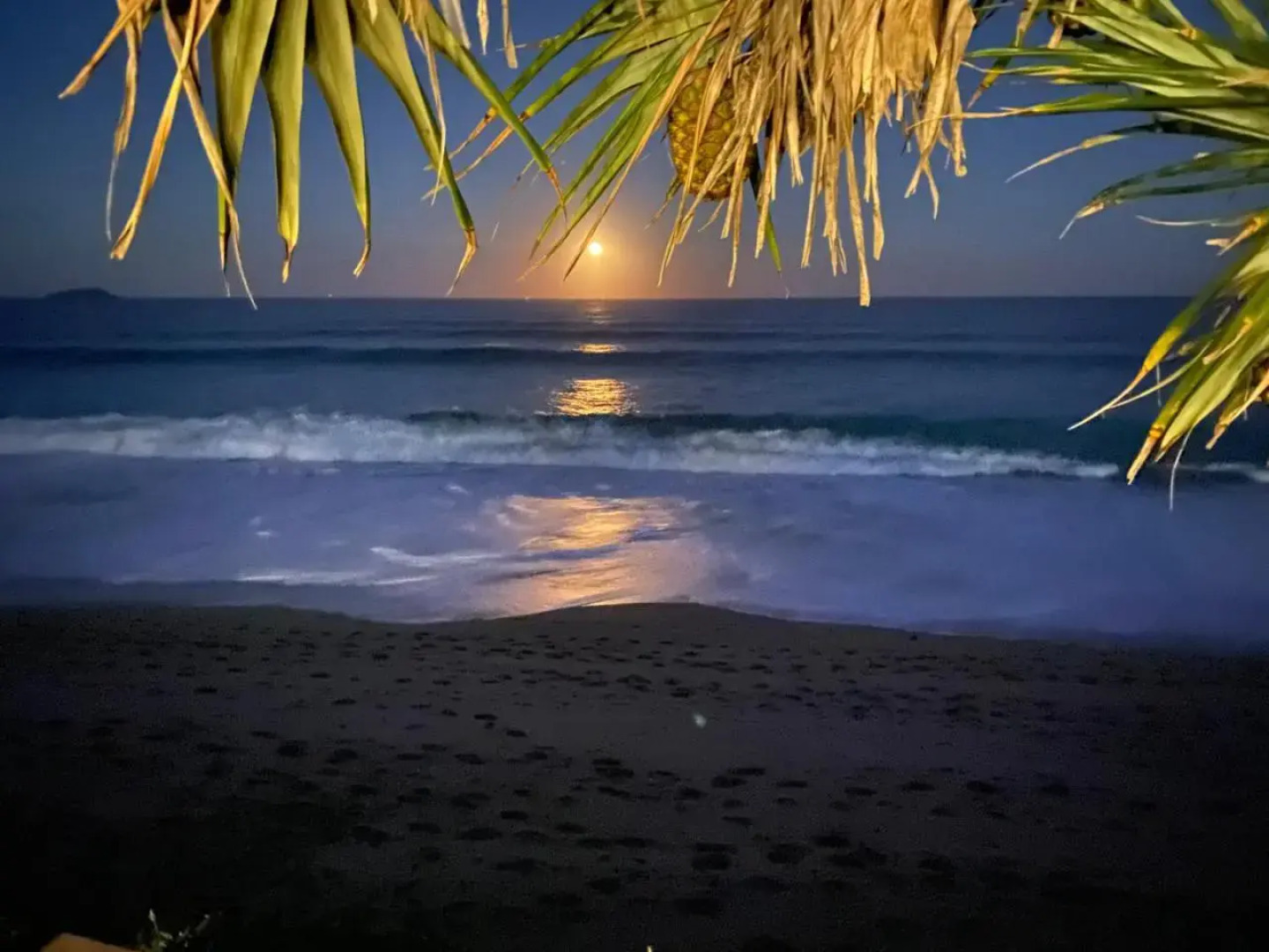 Hampton on the Beach