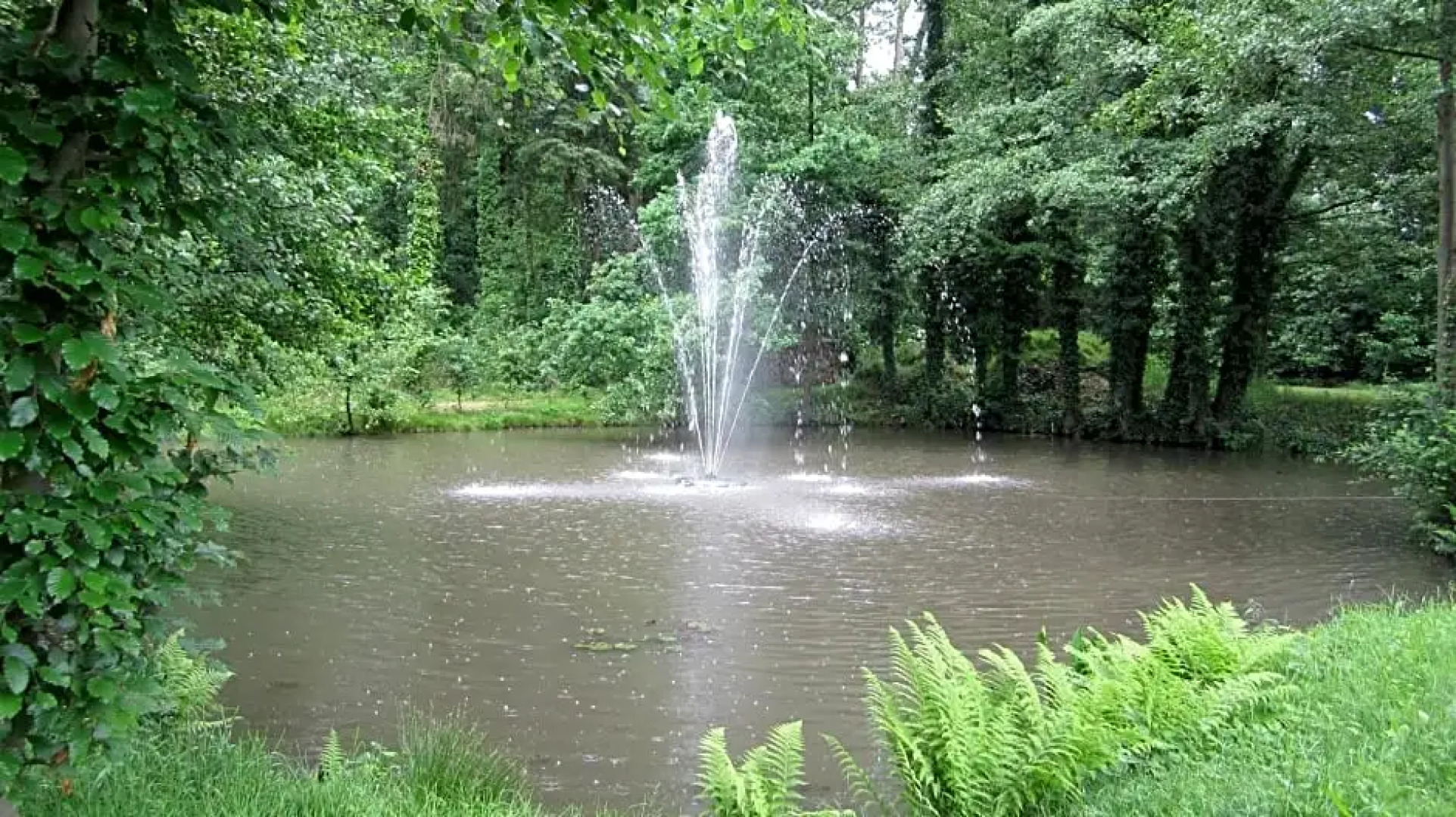 Hotel-Brasserie De Hoogmolen