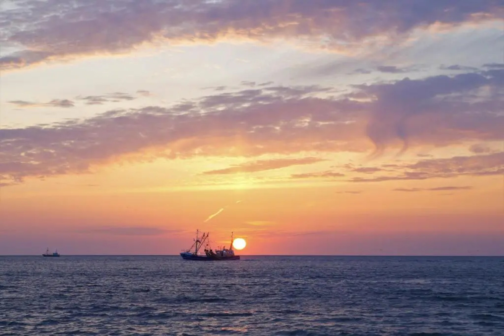 Dutch African Breeze