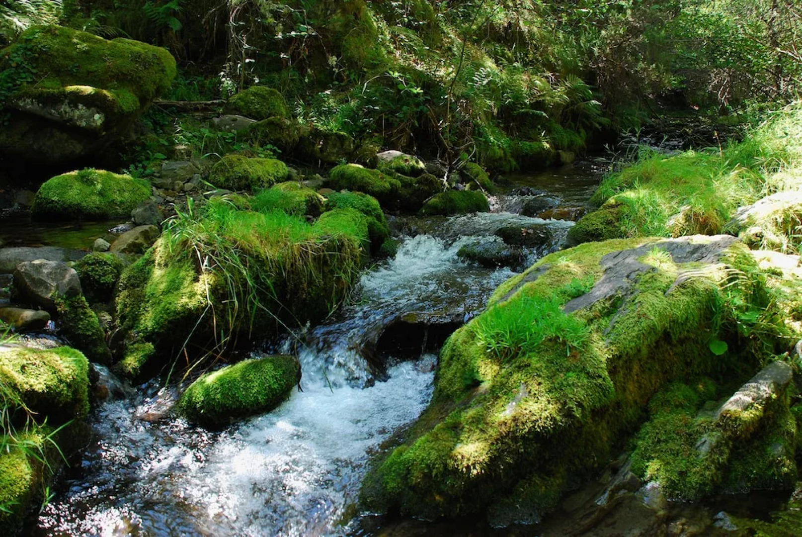 Rural House "casa Fresneda",rustic Lodging With Calm and Charm