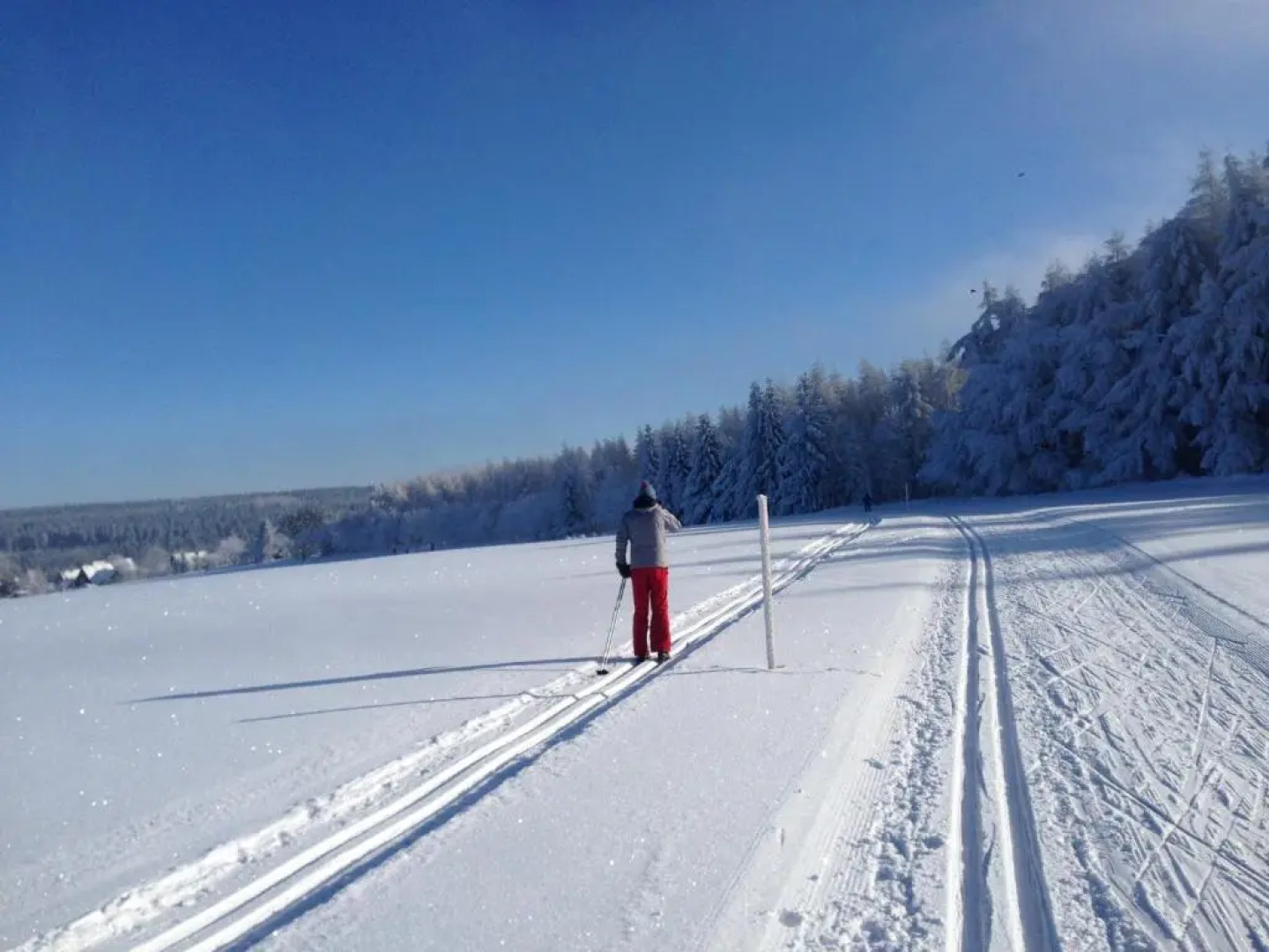 Ferienhaus Kaufmanns Cafe