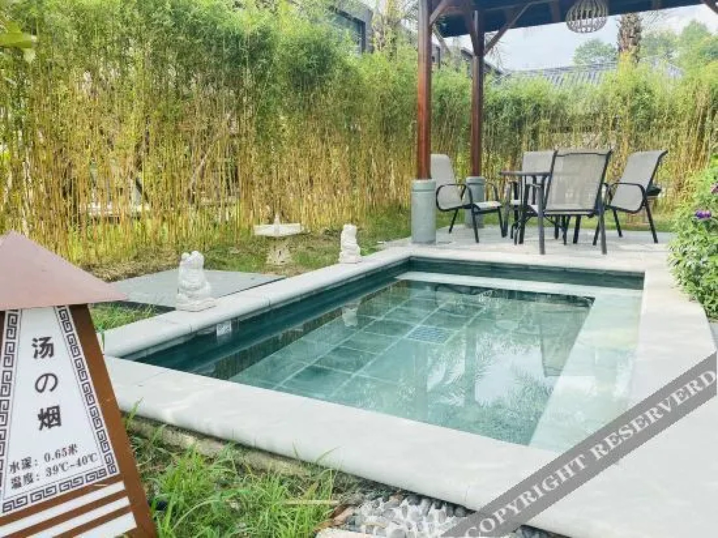 Forest Hot Springs Resort Hotel