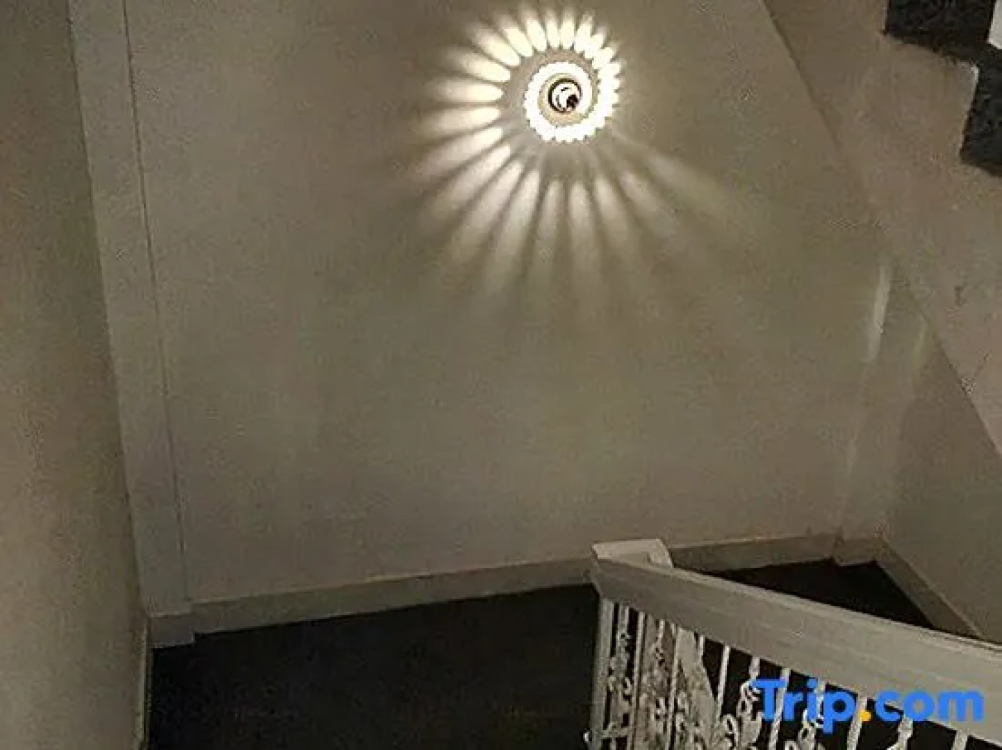 Love Max Fashion Theme Hotel