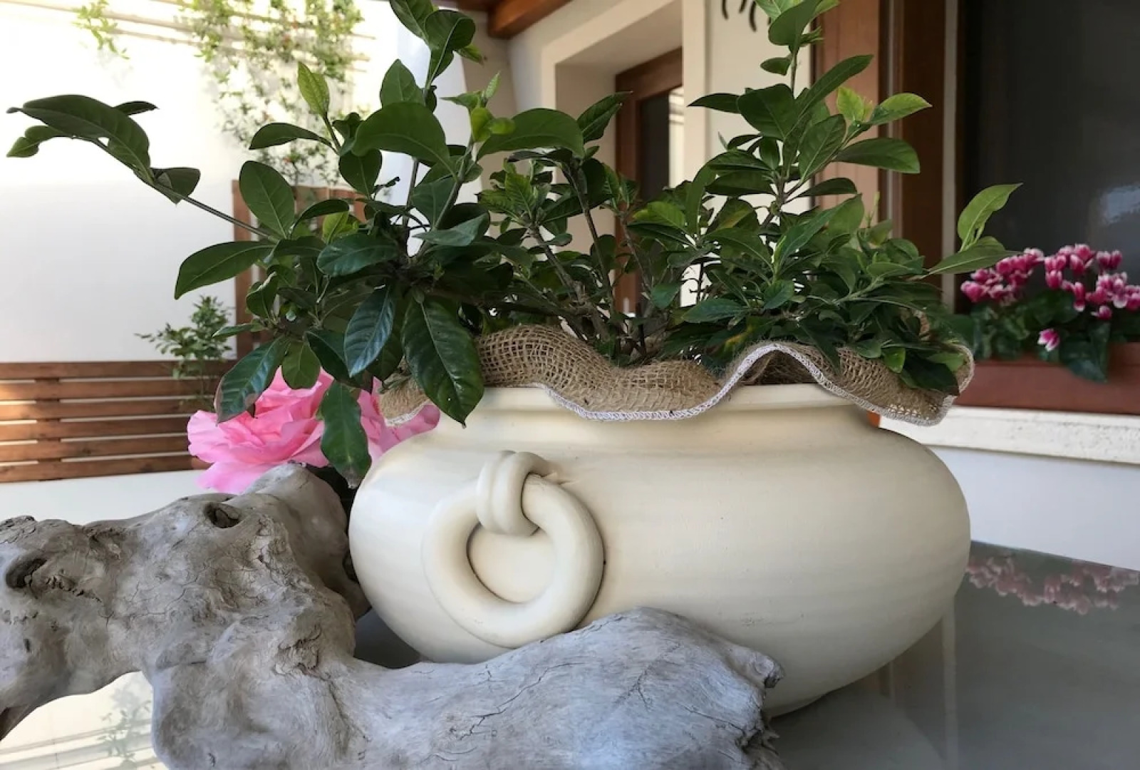 B&B Tenuta della Duchessa