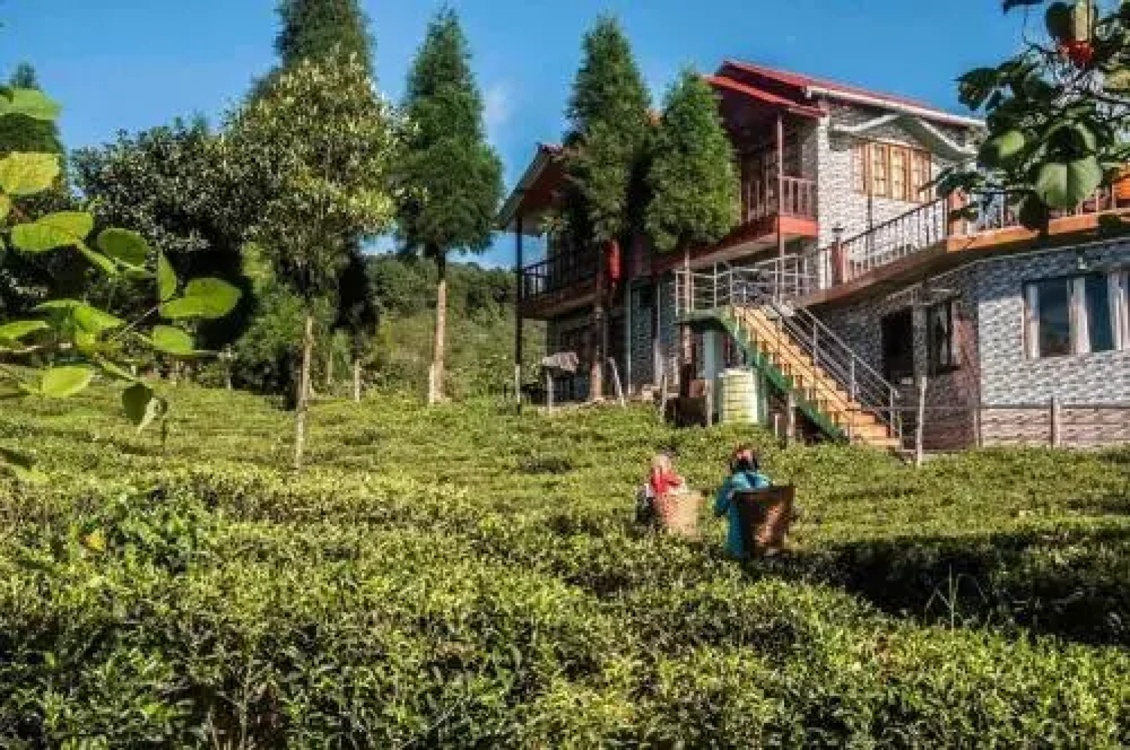 Vamoosetrail Mahal Diram