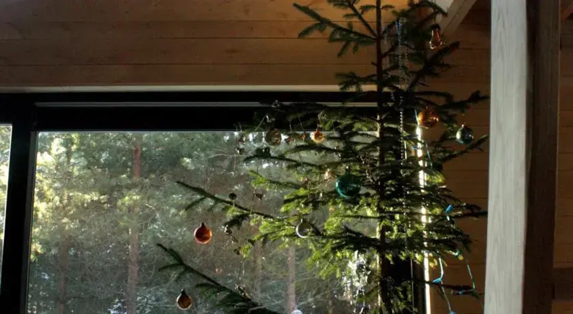 Surfhunt Holiday House