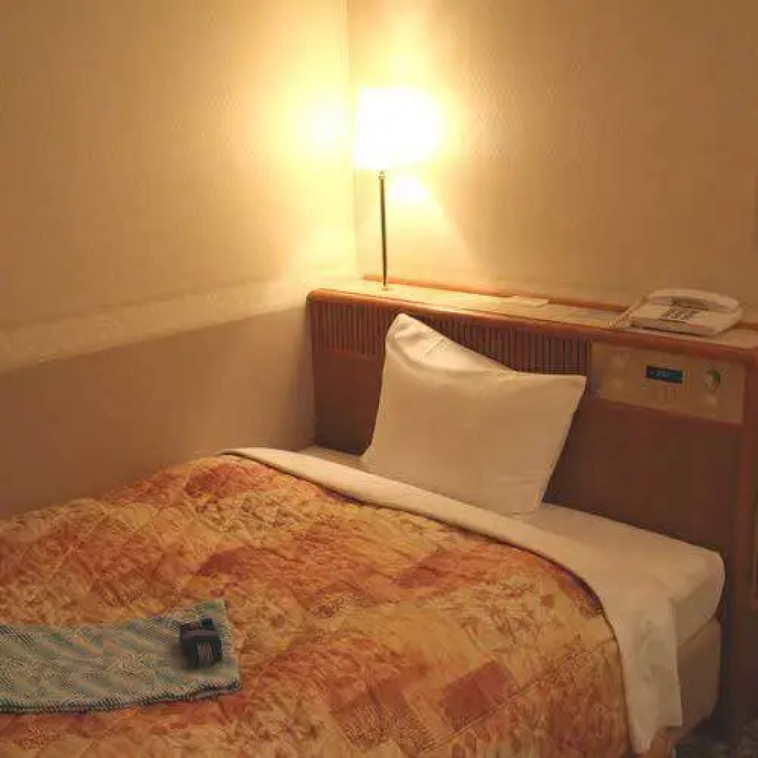 Royal Inn Station Plaza