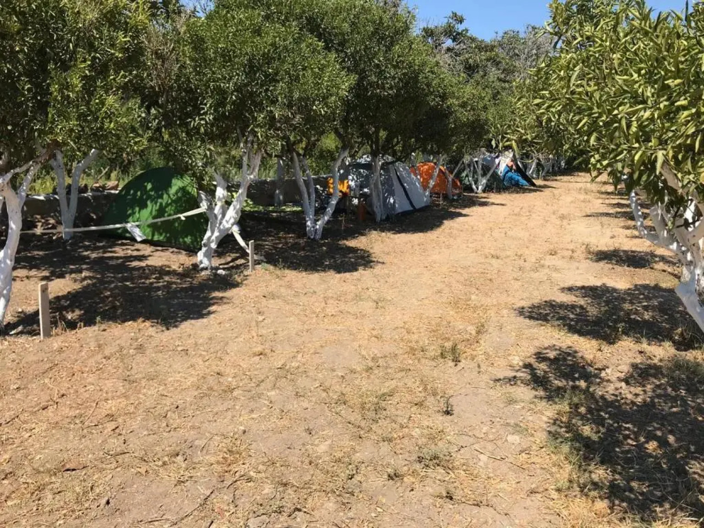 Bodrum Masali Camping