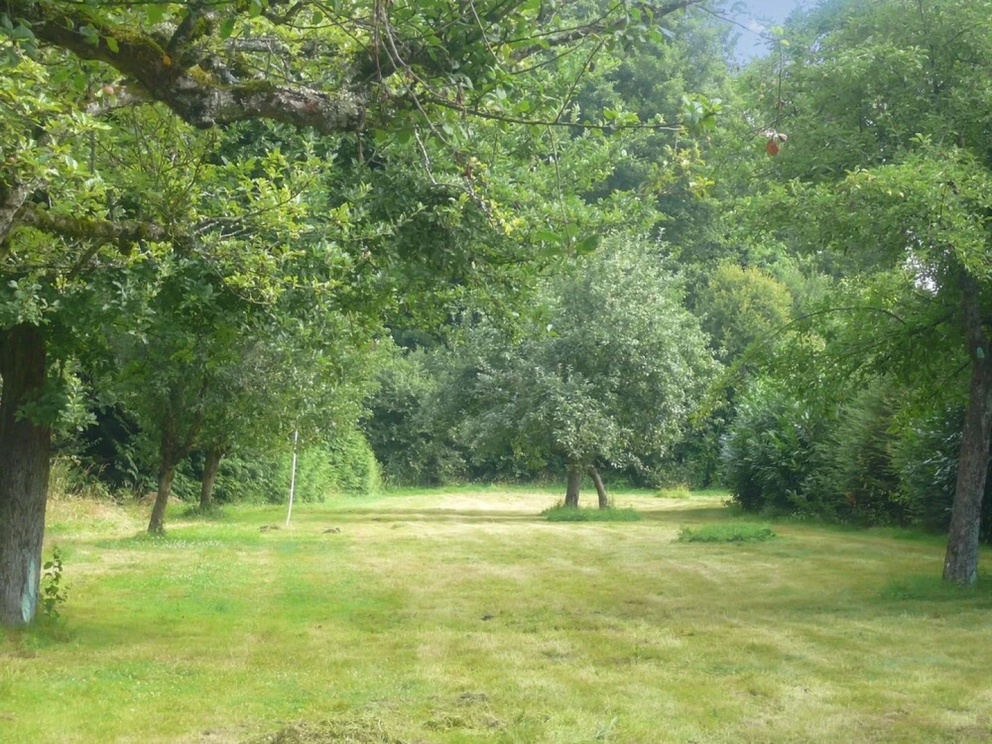 House With 2 Bedrooms in Lourdoueix Saint-pierre, With Wonderful Lake