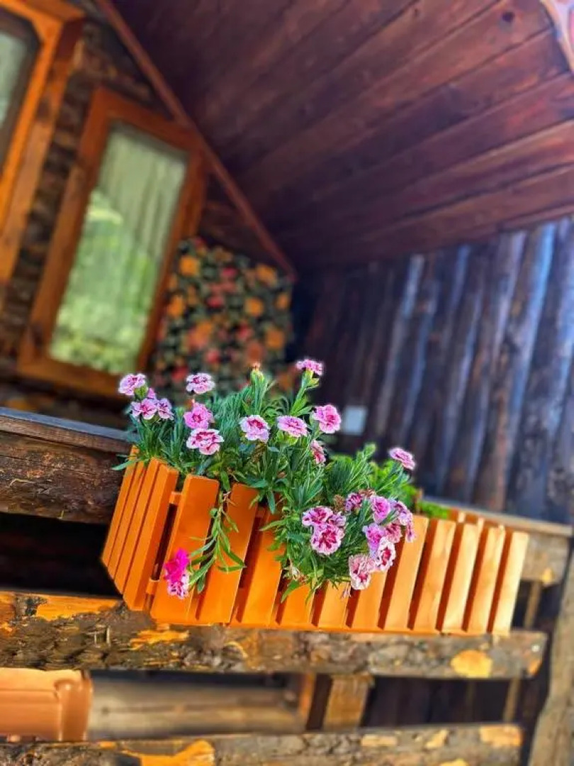 ZeytinDagi Bungalow Butik Otel