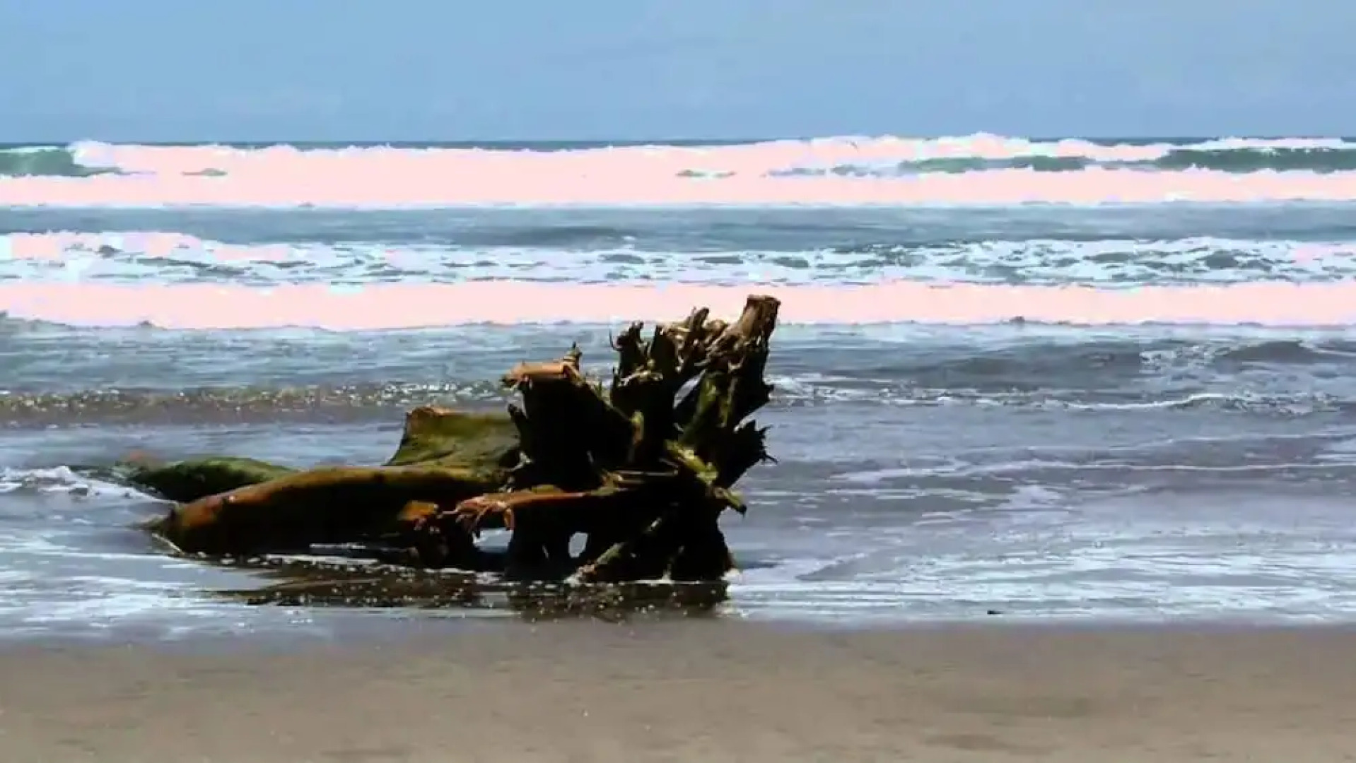 Hotel Del Balsas Lazaro Cardenas