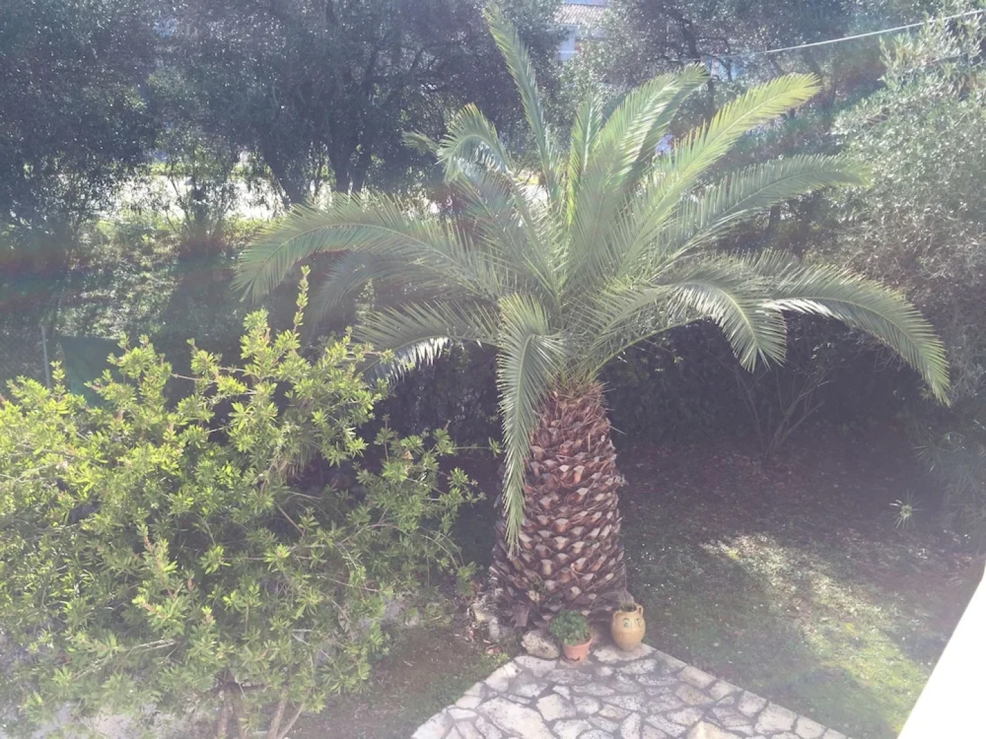 Alexander Apartments