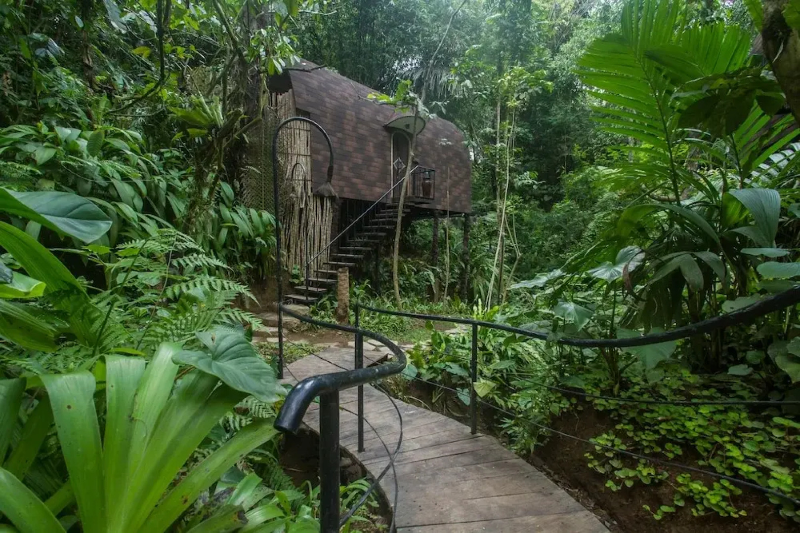 Sacred Beji by GenuineHost