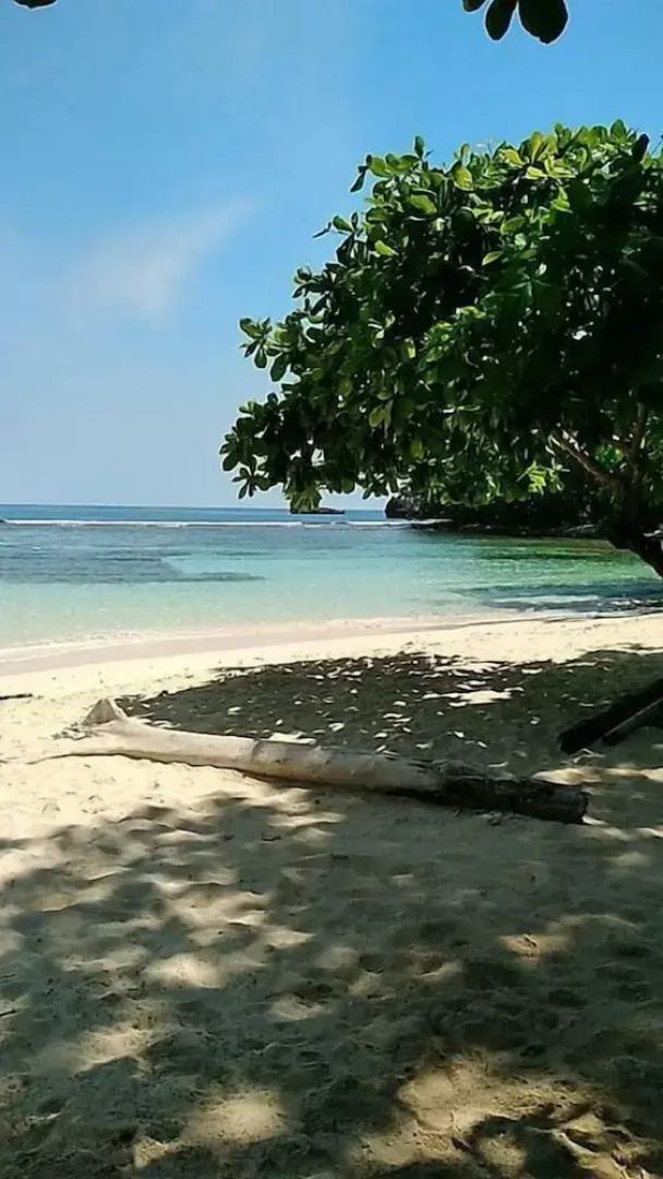 The blue Lagoon Hostel & Private Rooms