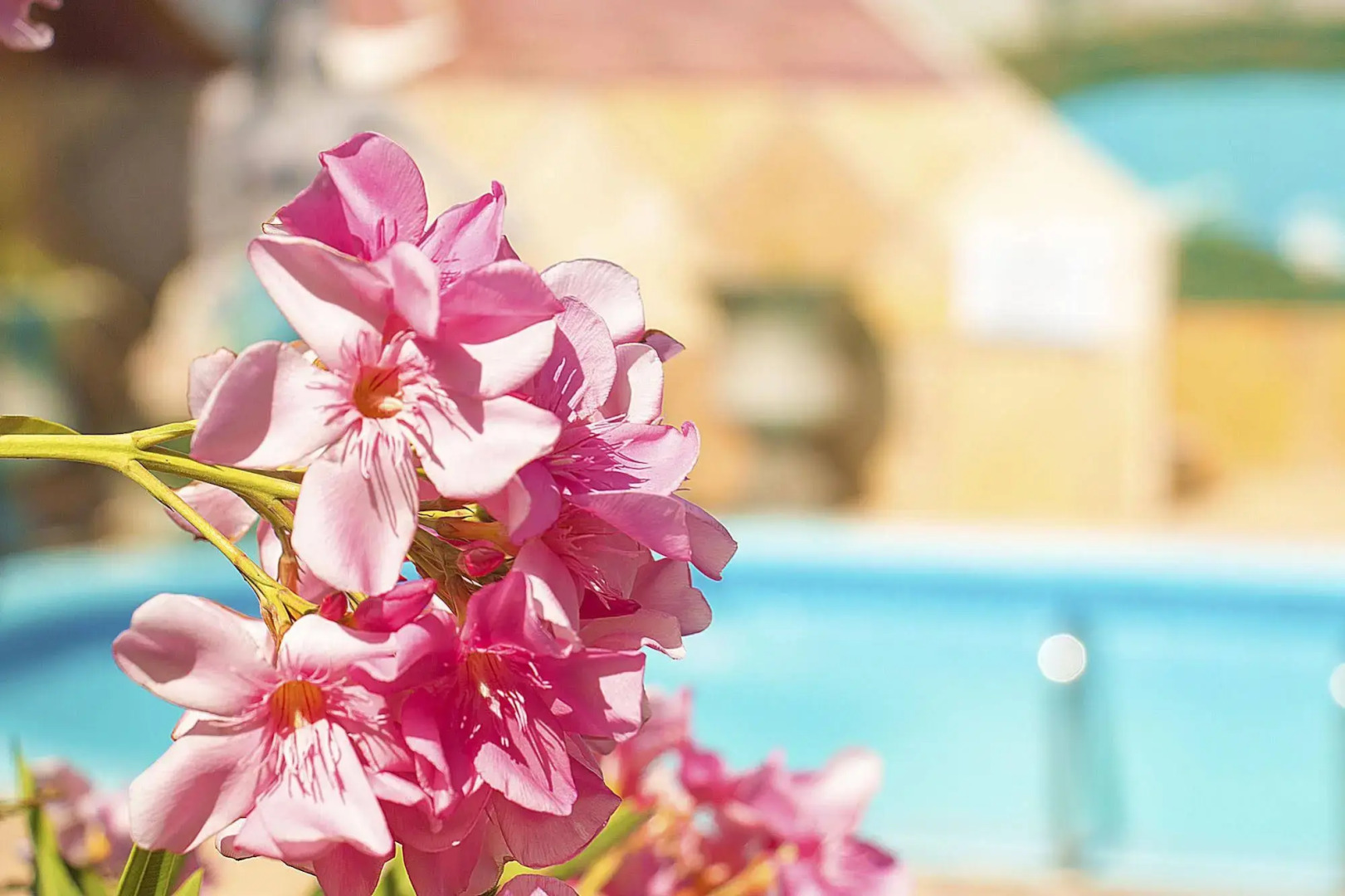 Pousada Jardim dos Orixás