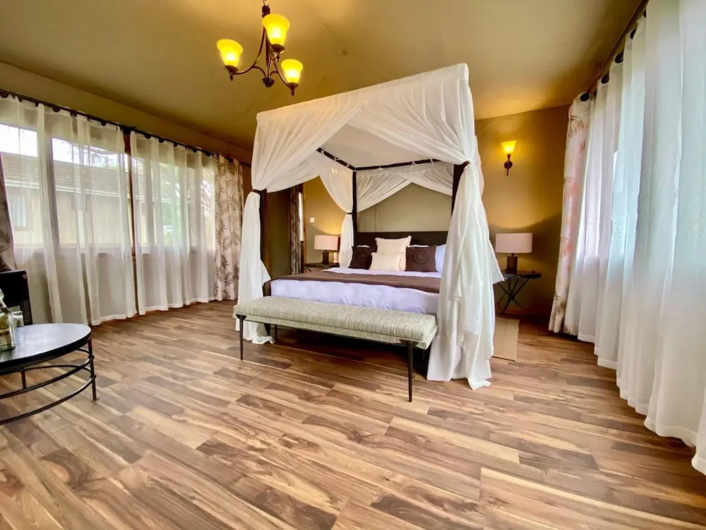 Ngorongoro Lions Paw