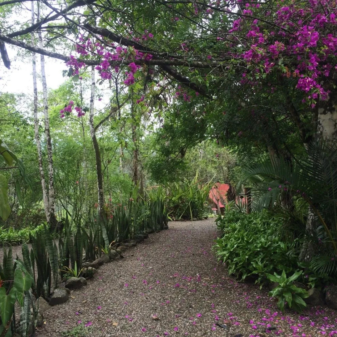 Samai Ocean Lodge - Spa