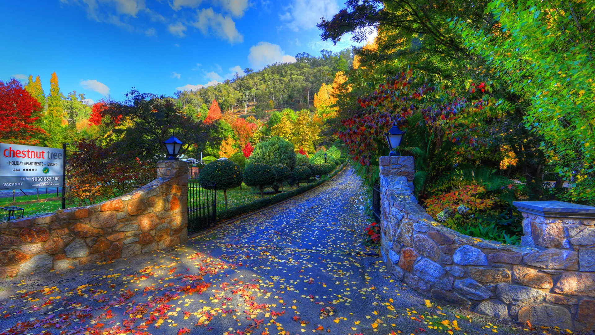 Chestnut Tree Holiday Apartments