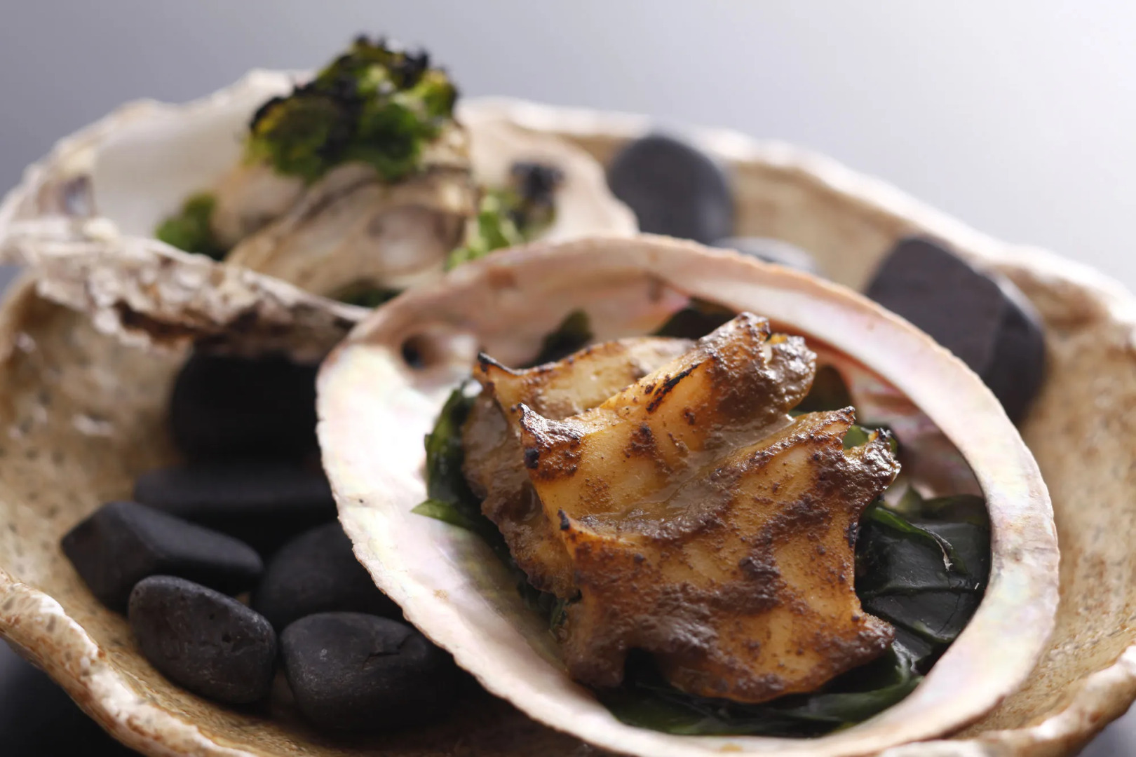 Sun Urashima Yuki no Sato