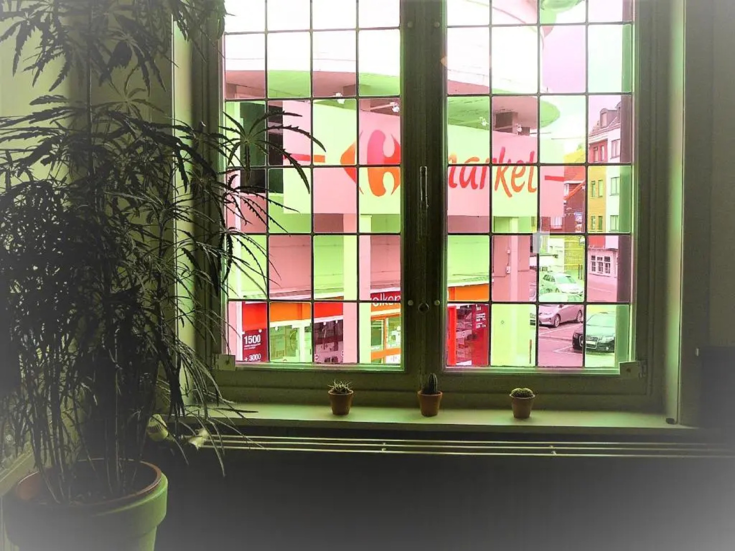 Gastenkamers in vakantiewoning CasaCuriosa