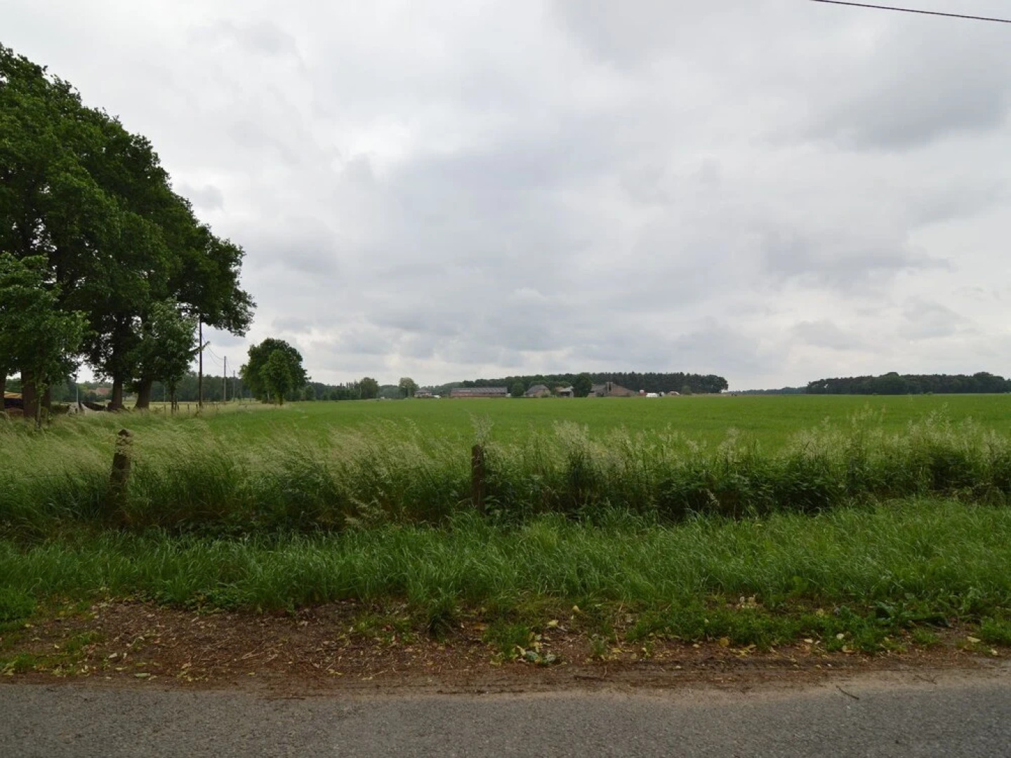 Attractive Mansion in Grote Brogel With Landscaped Garden