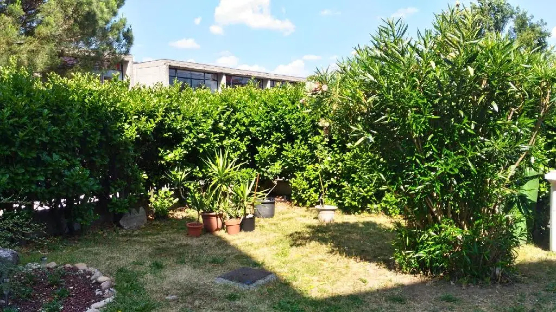 Sweetheart Apartment