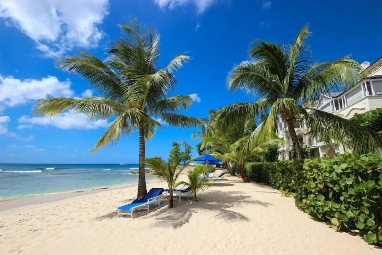 Schooner Bay 206 - Condothe Palms