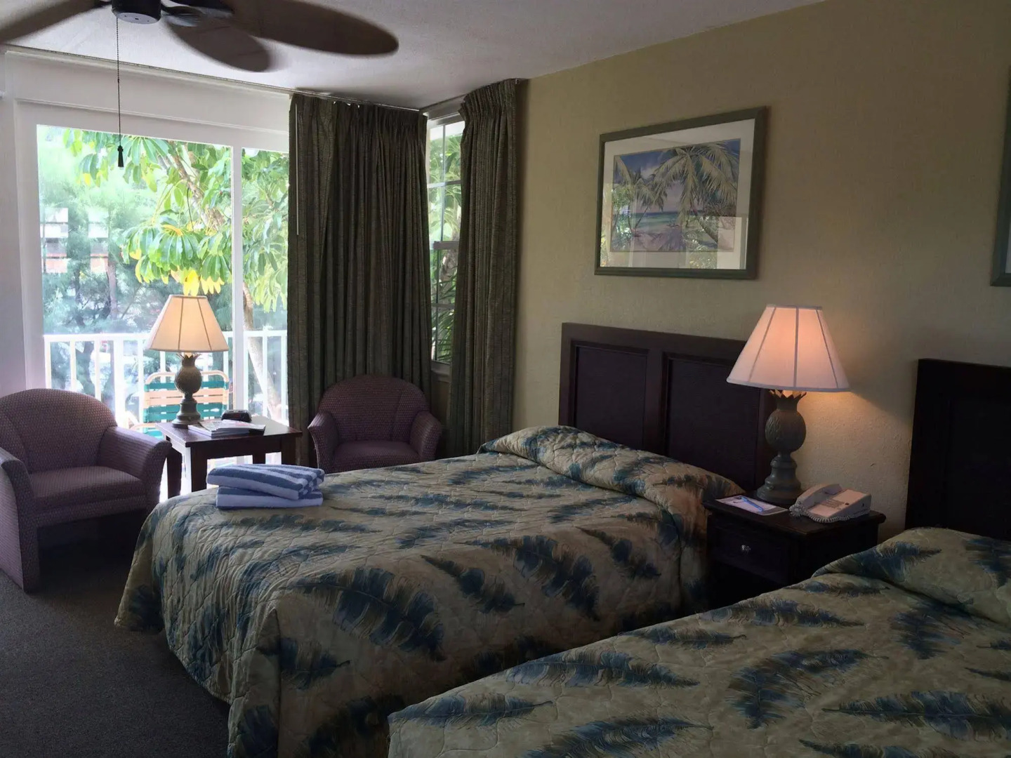 Coquina On The Beach