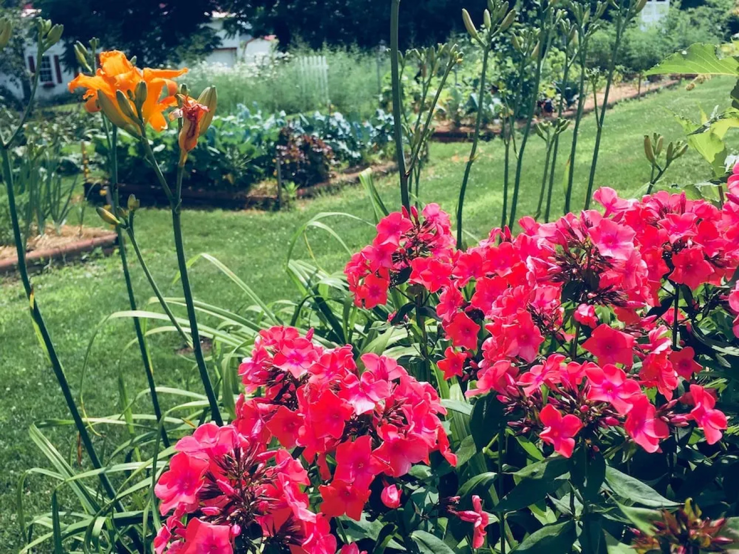 Quill Haven Country Inn Bed and Breakfast