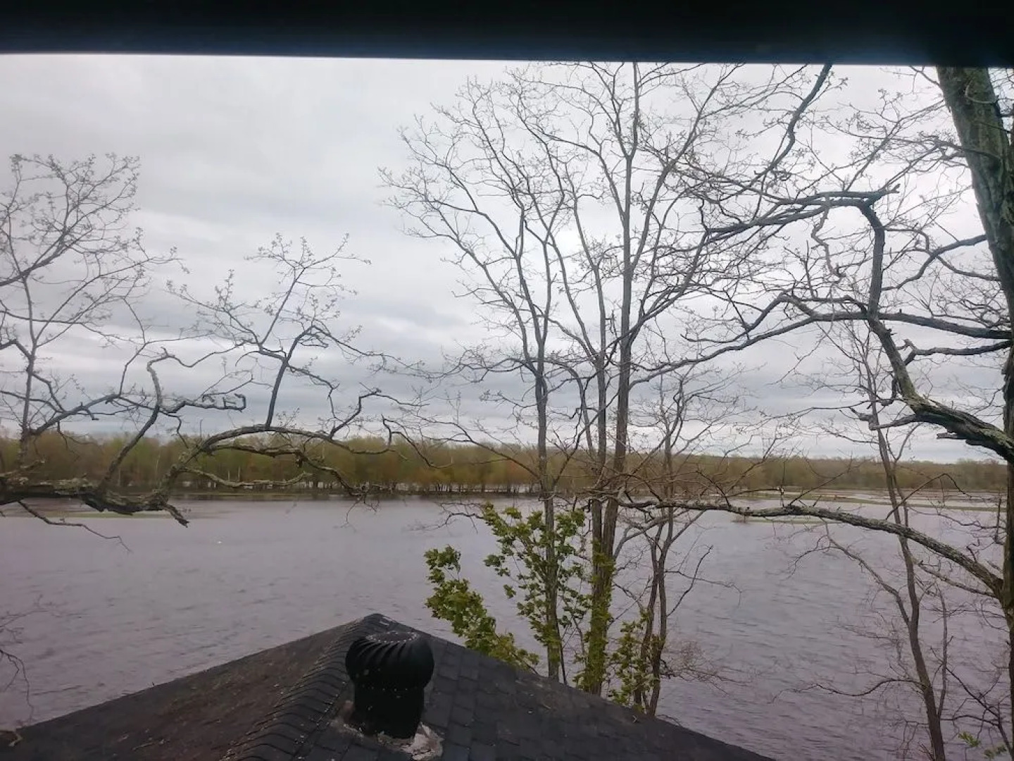 Steamers Bed & Breakfast