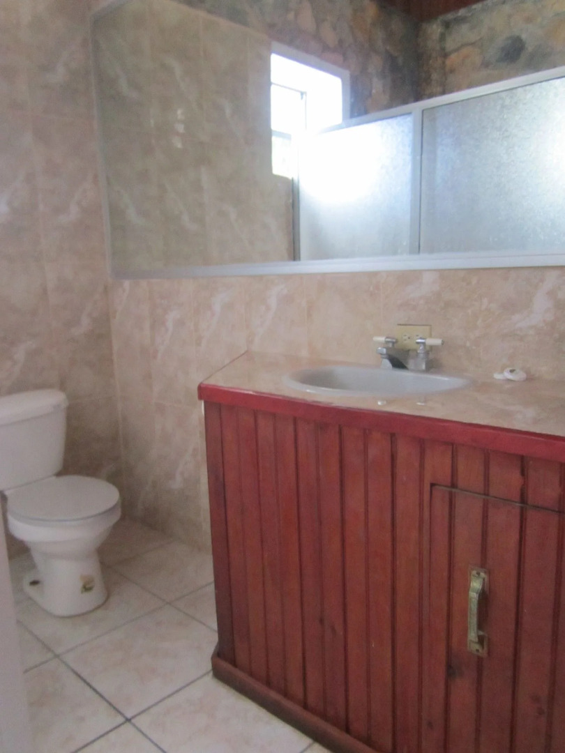 Coconut Tree West Bay