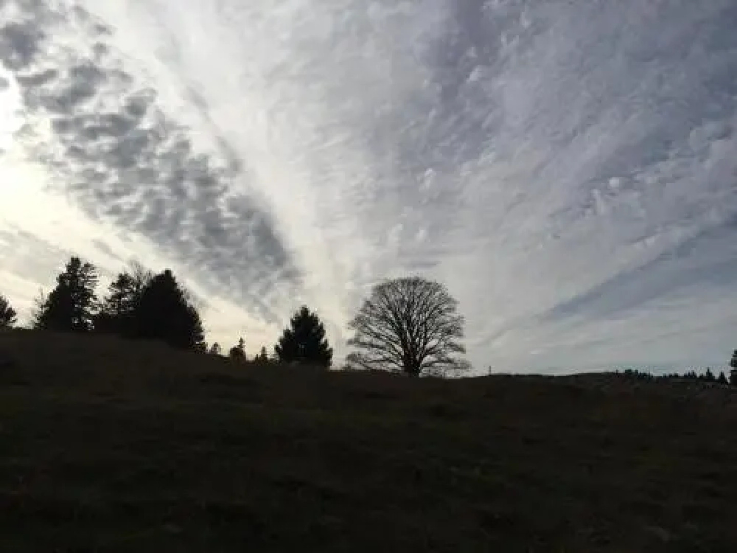 Chalet OTT - apartment in the mountains