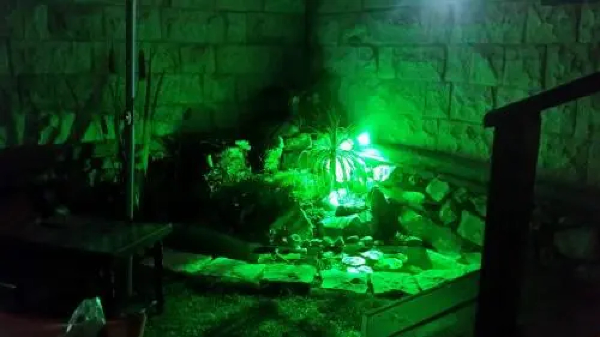 Zimmer Shai Tibetan Style