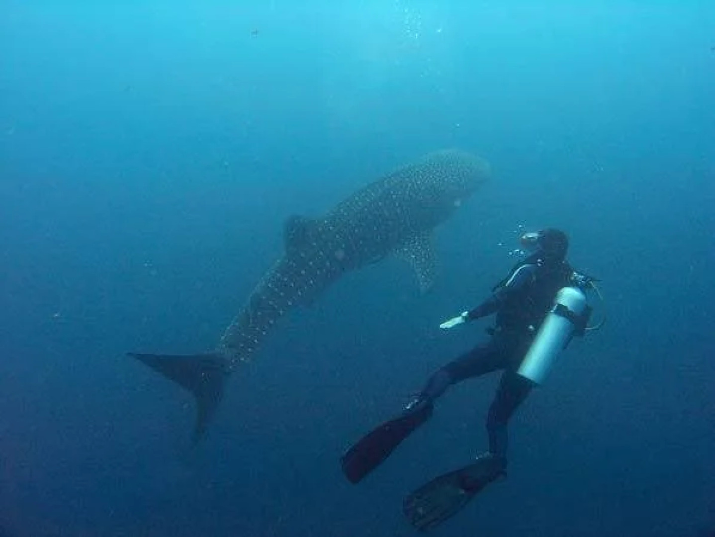 Sole E Mare Beach Resort