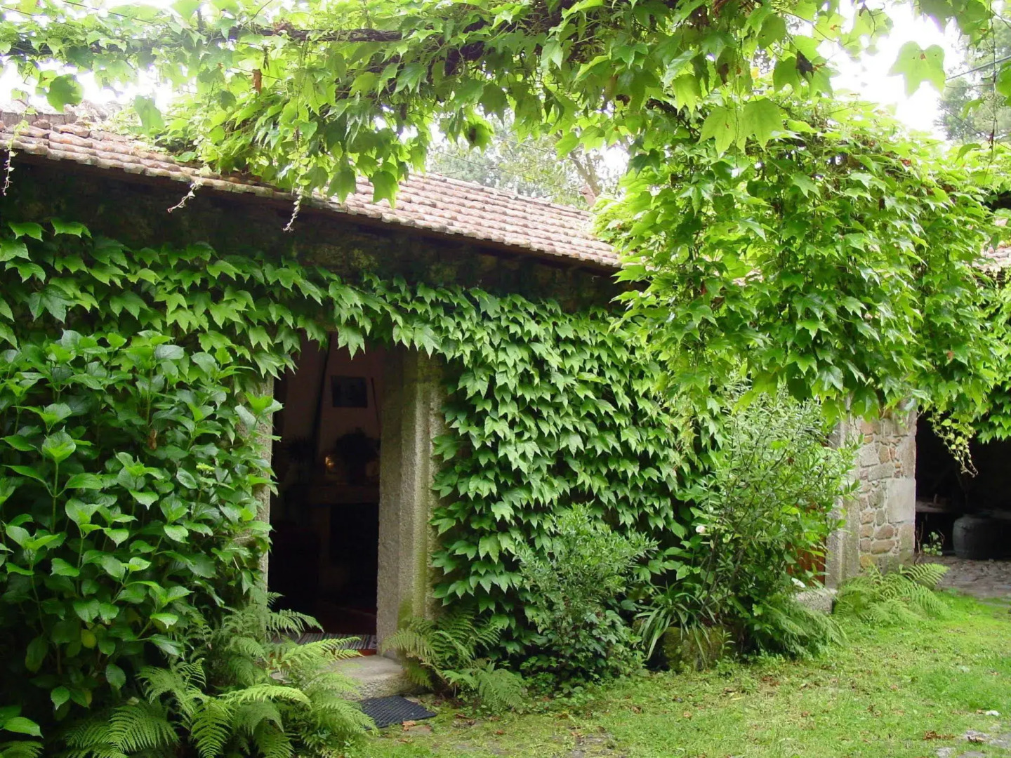 Quinta da Picaria