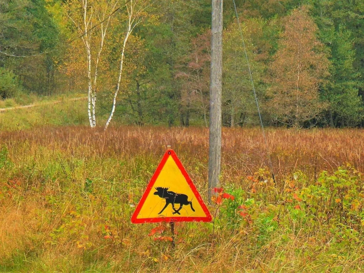 5 Person Holiday Home in Lilla Edet